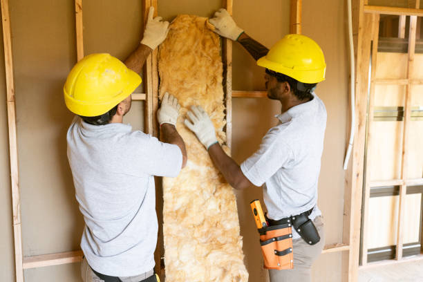 Best Blown-in Insulation  in Charlack, MO
