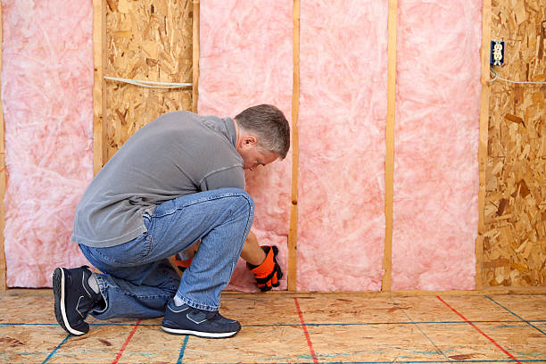 Best Energy-efficient Insulation  in Charlack, MO