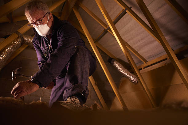Best Insulation Replacement Services  in Charlack, MO