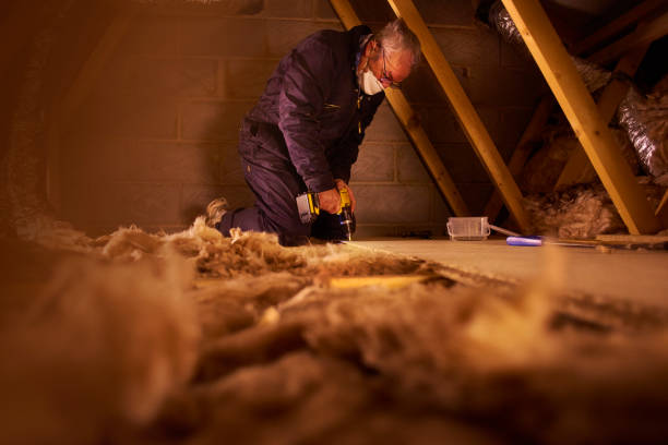 Best Insulation Inspection Services  in Charlack, MO